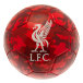 Liverpool Fotboll Camo 3