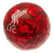 Liverpool Fotboll Camo 3