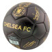Chelsea Fotboll Signature Gold