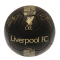 Liverpool Fotboll Signature Gold