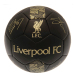 Liverpool Fotboll Signature Gold