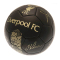 Liverpool Fotboll Signature Gold