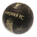 Liverpool Fotboll Signature Gold