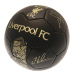 Liverpool Fotboll Signature Gold