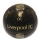 Liverpool Träningsboll Signature Gold