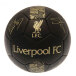 Liverpool Träningsboll Signature Gold