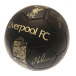 Liverpool Träningsboll Signature Gold