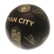 Manchester City Fotboll Signature Gold