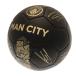 Manchester City Fotboll Signature Gold