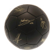 Manchester City Fotboll Signature Gold