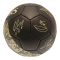 Tottenham Hotspur Fotboll Signature Gold