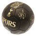 Tottenham Hotspur Träningsboll Signature Gold