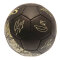 Tottenham Hotspur Träningsboll Signature Gold