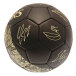 Tottenham Hotspur Träningsboll Signature Gold