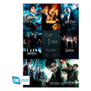harry-potter-affisch-collection-112-1