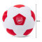 Arsenal Goseboll