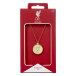 Liverpool Halsband Gold Finish Crest