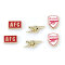 Arsenal Örhängen Stud Set