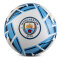 Manchester City Fotboll Nova Premium