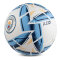 Manchester City Fotboll Nova Premium