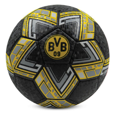 Borussia Dortmund Fotboll