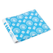 manchester-city-planbok-coloured-icon-1