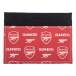 Arsenal Korthållare Coloured Icon