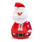 Liverpool Gosedjur Santa