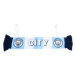 Manchester City Bilhalsduk Mini Bar