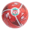 Liverpool Trickboll Turbine