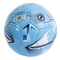 Manchester City Teknikboll Turbine