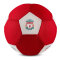 Liverpool Fotboll Mini Mesh