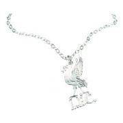 liverpool-kedja-och-smycke-silverplaterat-liverbird-1