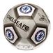 Chelsea Fotboll Signature Metallic