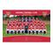 Arsenal Affisch Squad 51