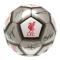 Liverpool Fotboll Signature Metallic