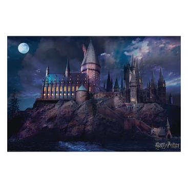 Harry Potter Affisch Hogwarts 299
