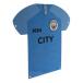Manchester City Metallskylt Shirt